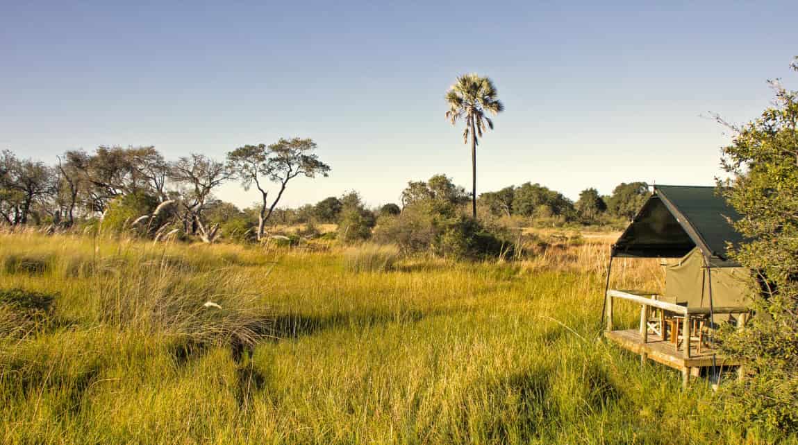 Oddballs Enclave Camp, Okavango Delta, Botswana