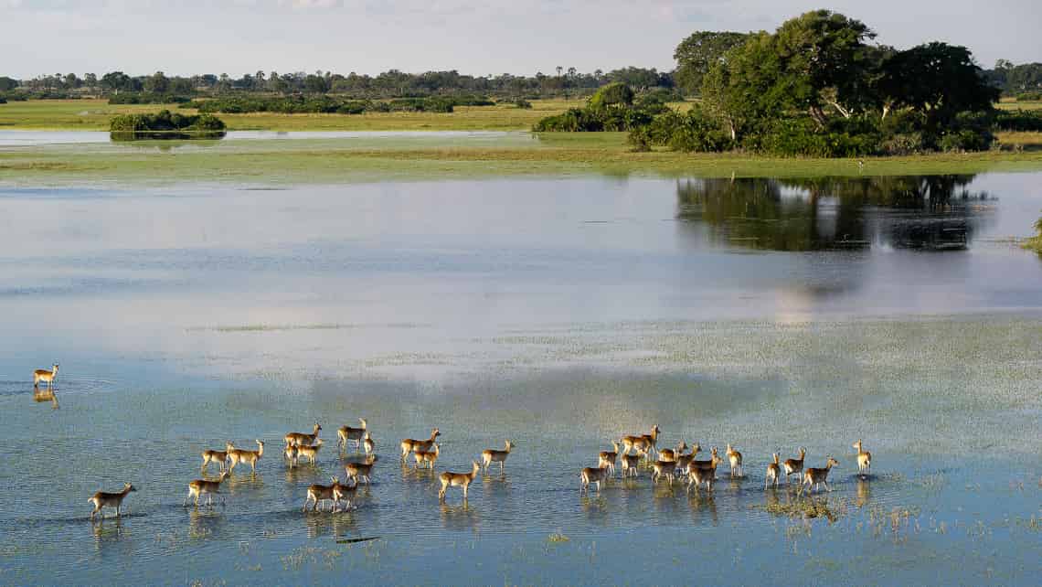 Wilderness Pelo Camp, Okavango Delta Botswana