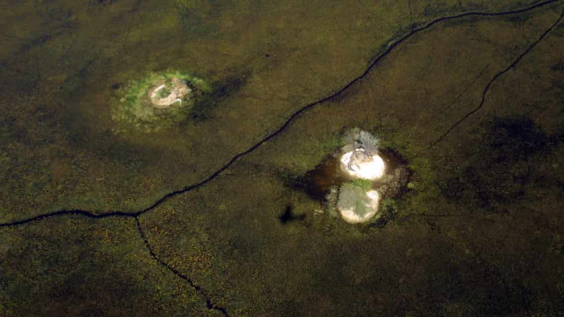  Pom Pom Camp, Okavango Delta Botswana