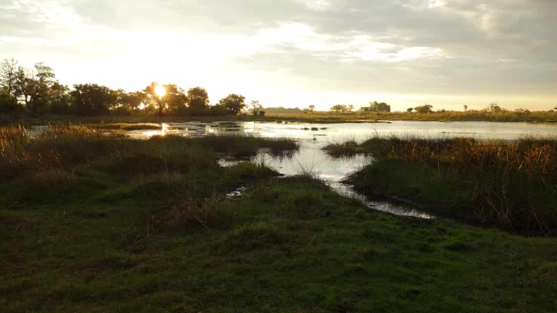  Pom Pom Camp, Okavango Delta Botswana