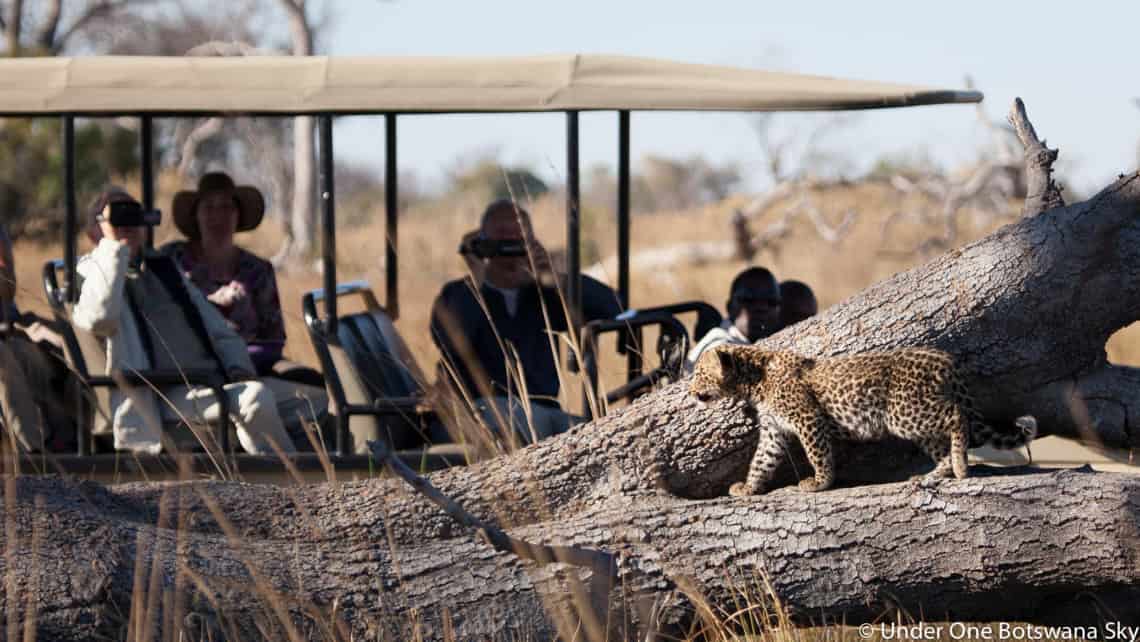  Pom Pom Camp, Okavango Delta Botswana