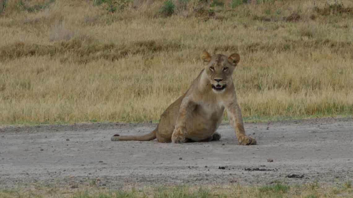  Pom Pom Camp, Okavango Delta Botswana