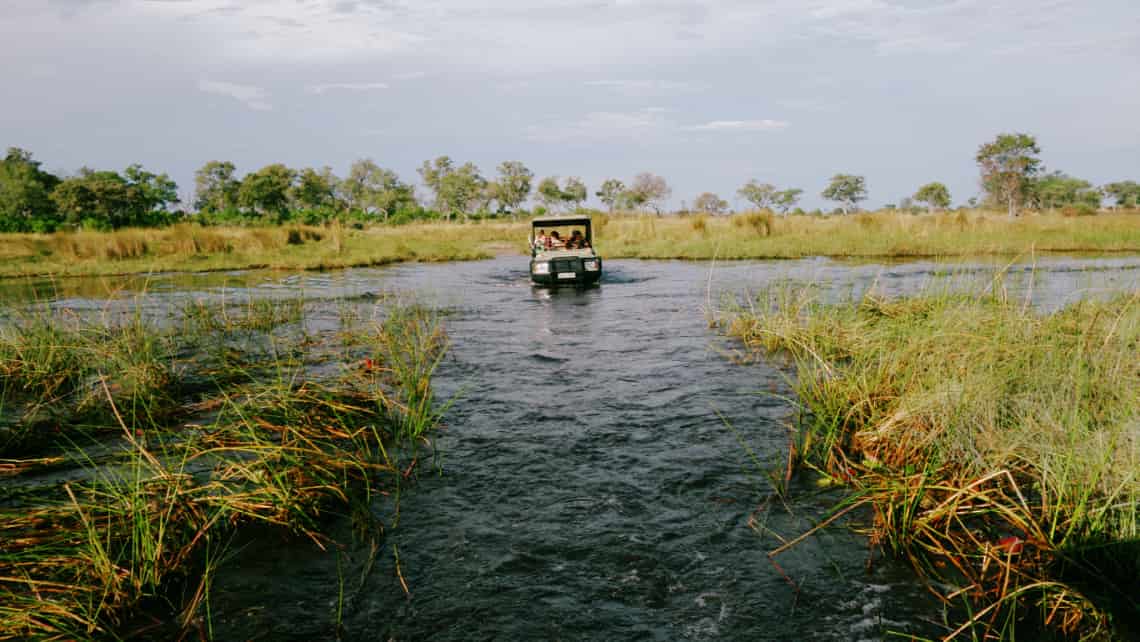  Pom Pom Camp, Okavango Delta Botswana