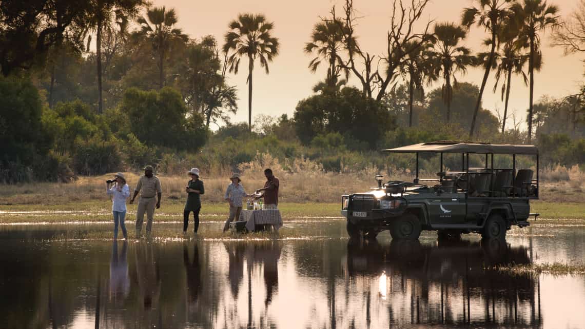 Löwe in der Nähe der Sandibe Safari Lodge