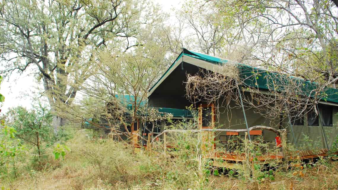 Sango Safari Camp, Khwai