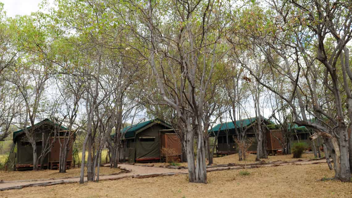 Sango Safari Camp, Khwai