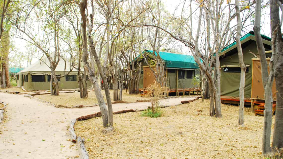 Sango Safari Camp, Khwai