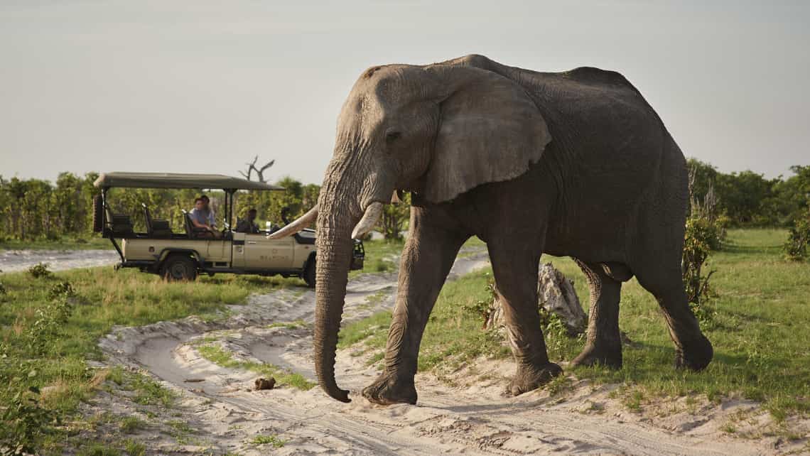 Belmond Savute Elephant Lodge, Savuti, Chobe Nationalpark