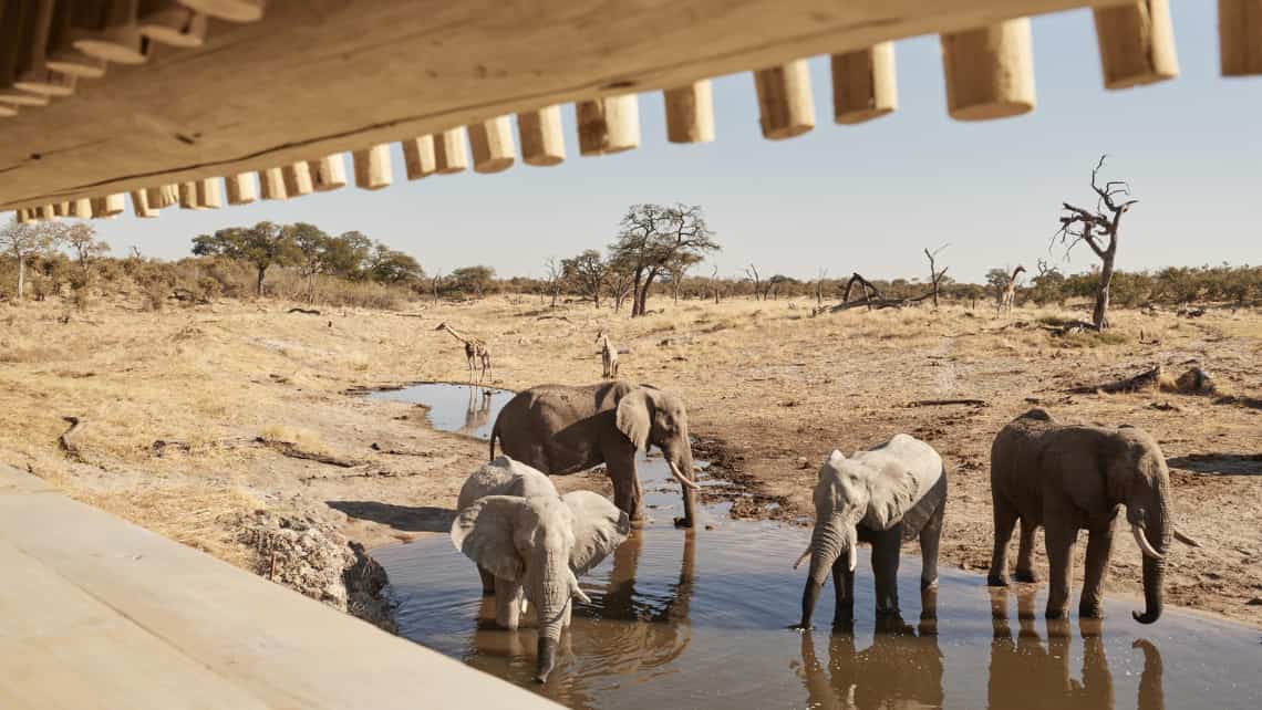 Belmond Savute Elephant Lodge, Savuti, Chobe Nationalpark