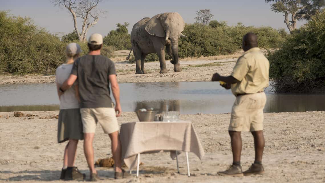 Elefant vor dem Zelt Zarafa Camp, Linyanti