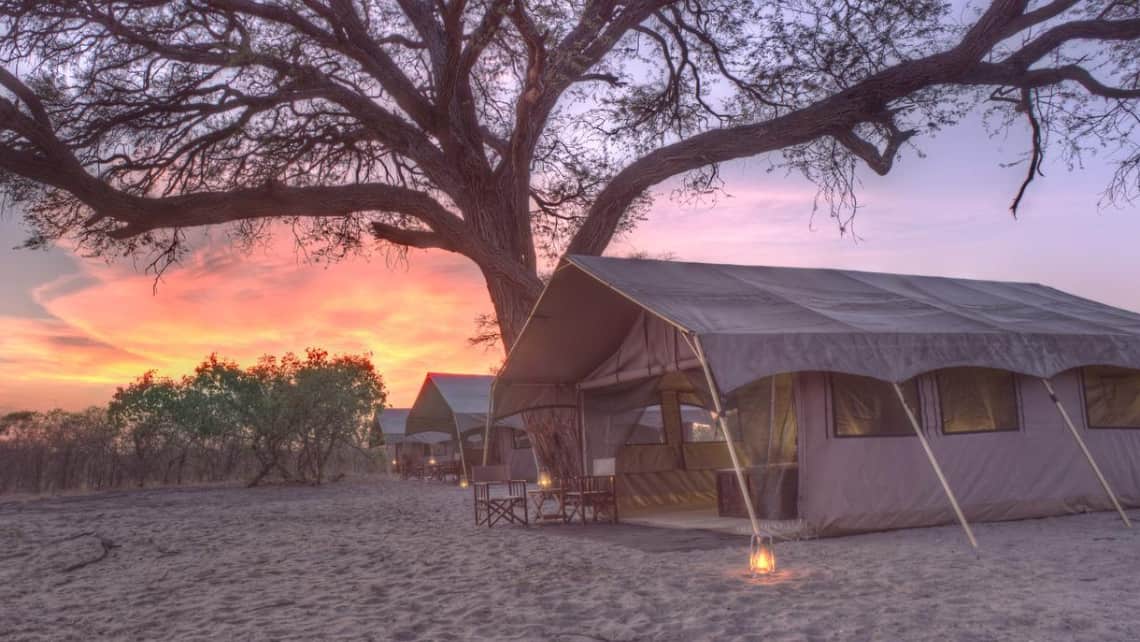 Abends beleuchtetes Zelt Zarafa Camp, Linyanti