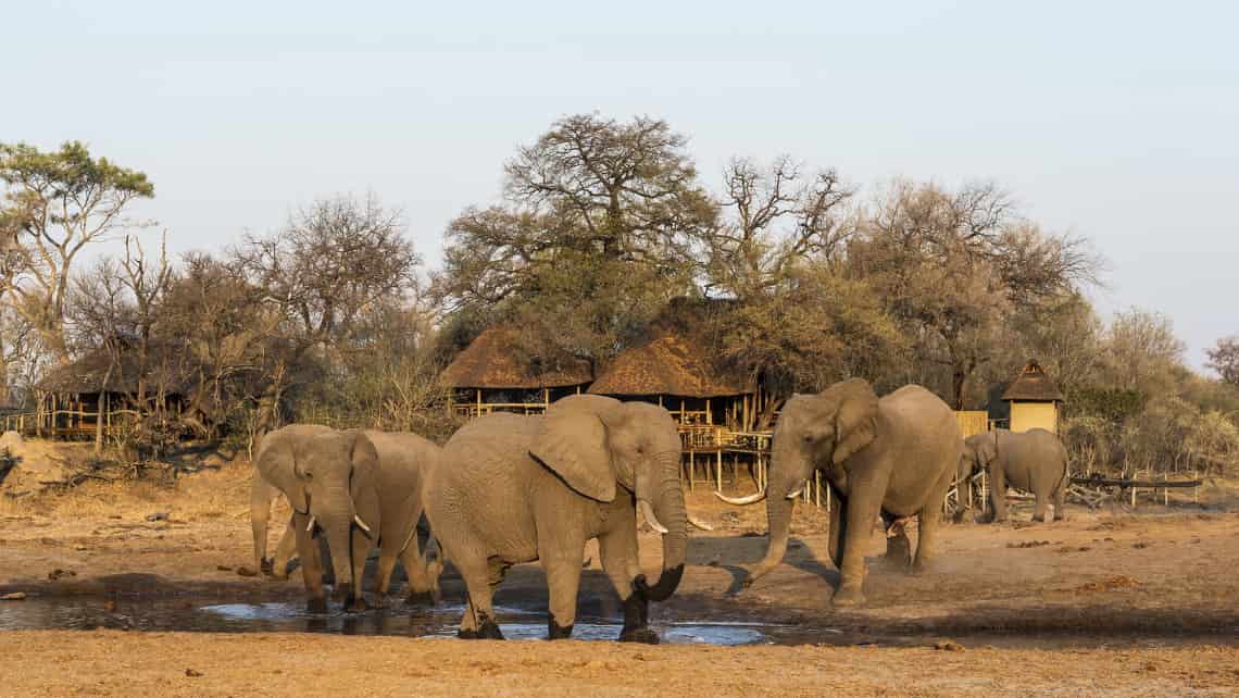 Wilderness Savuti Camp, Savuti, Chobe Nationalpark