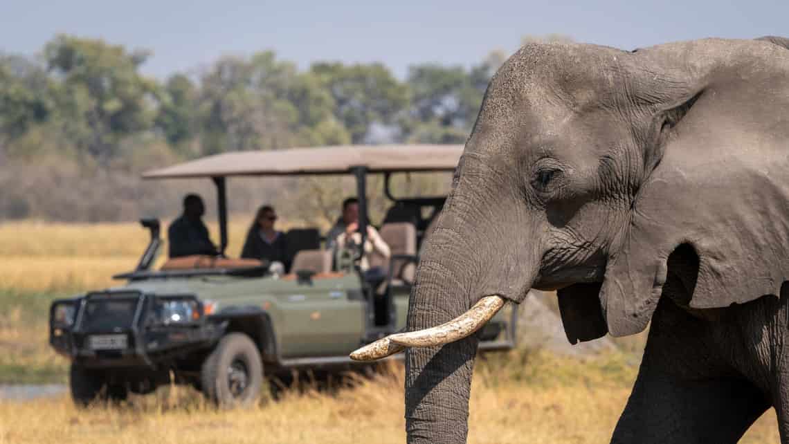 Wilderness Savuti Camp, Savuti, Chobe Nationalpark