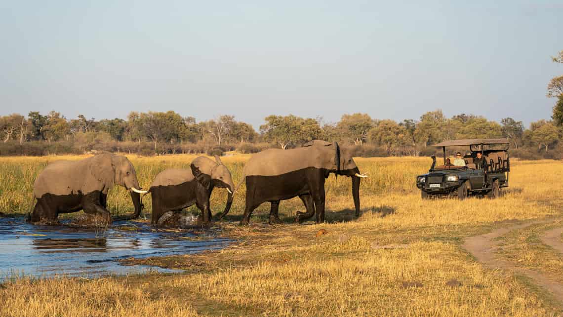 Wilderness Savuti Camp, Savuti, Chobe Nationalpark