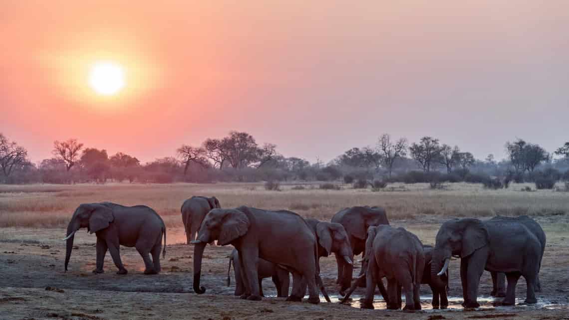 Wilderness Savuti Camp, Savuti, Chobe Nationalpark