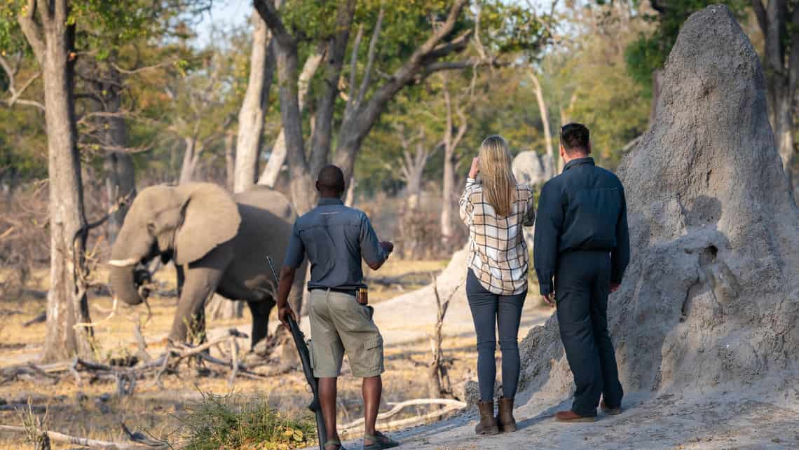 Wilderness Savuti Camp, Savuti, Chobe Nationalpark