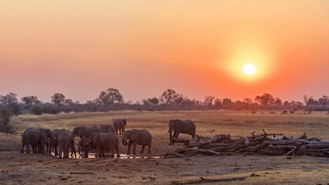 Wilderness Savuti Camp, Savuti, Chobe Nationalpark