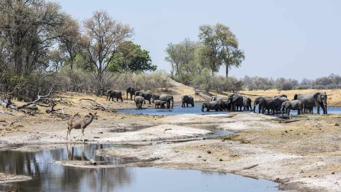 Wilderness Savuti Camp, Savuti, Chobe Nationalpark