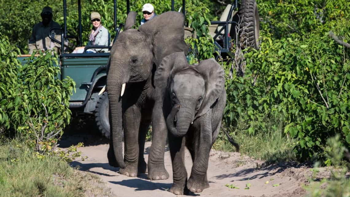 Wilderness Seba Camp, Okavango Delta Botswana