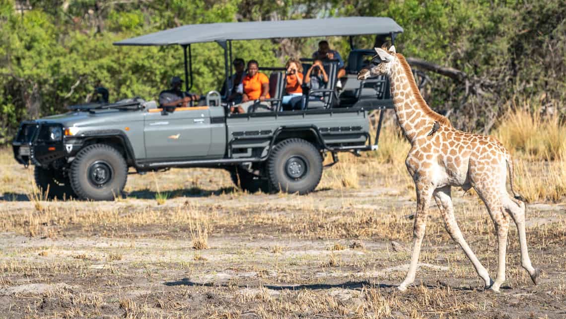 Wilderness Seba Camp, Okavango Delta Botswana