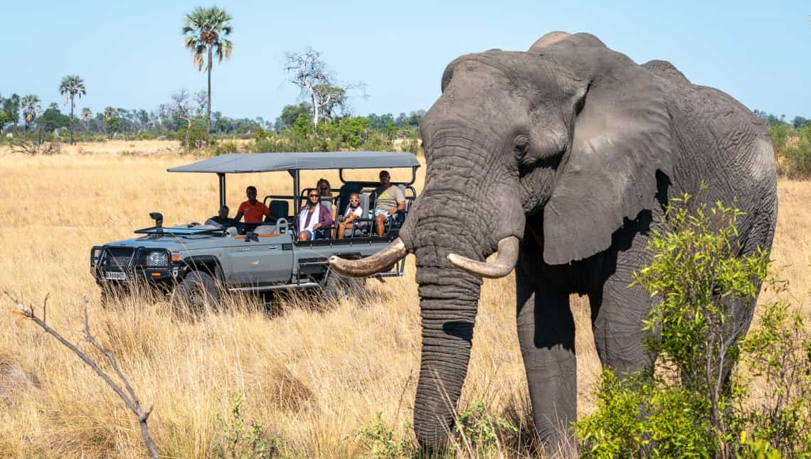 Wilderness Seba Camp, Okavango Delta Botswana