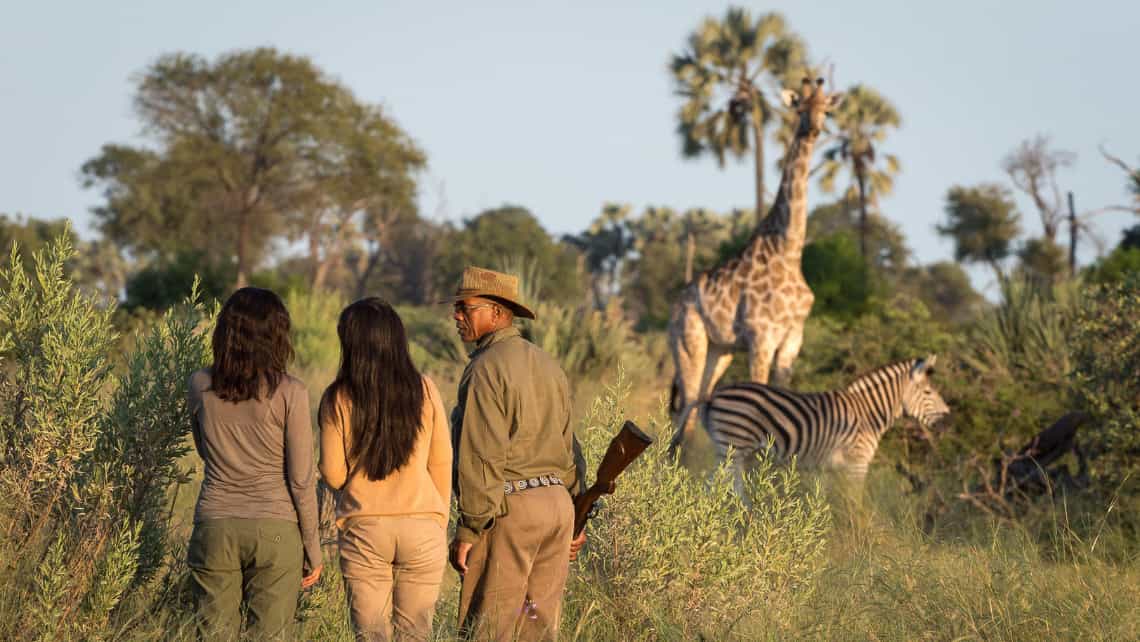 Wilderness Seba Camp, Okavango Delta Botswana