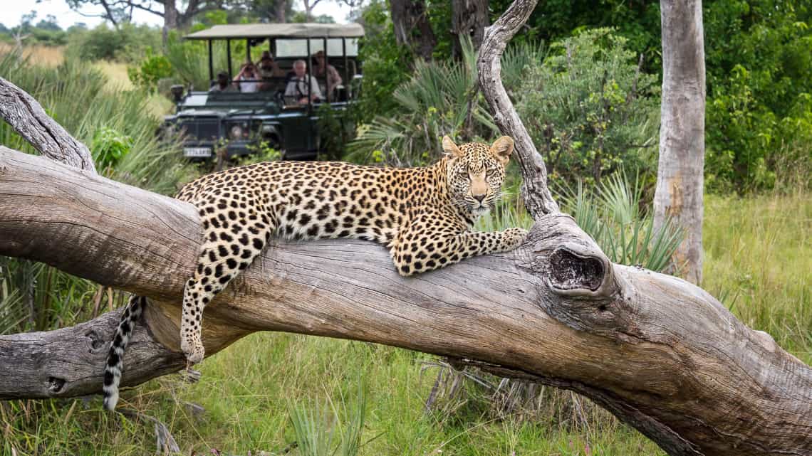 Wilderness Seba Camp, Okavango Delta Botswana