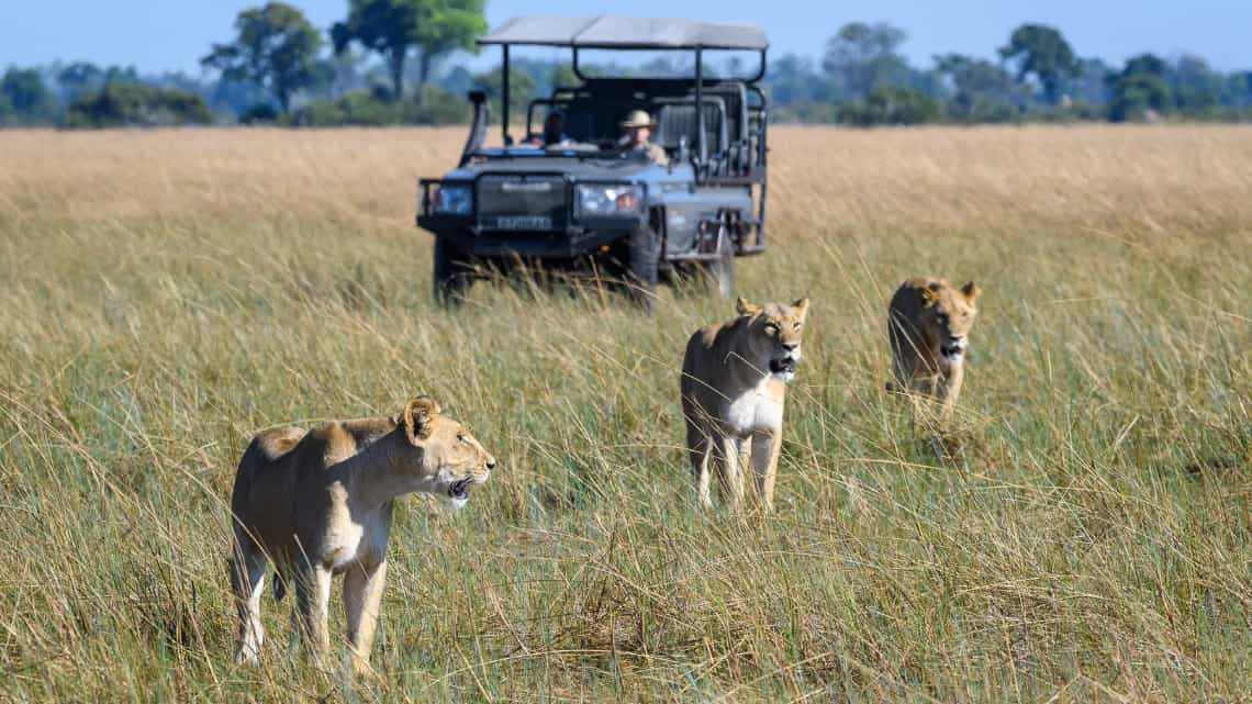 Wilderness Seba Camp, Okavango Delta Botswana