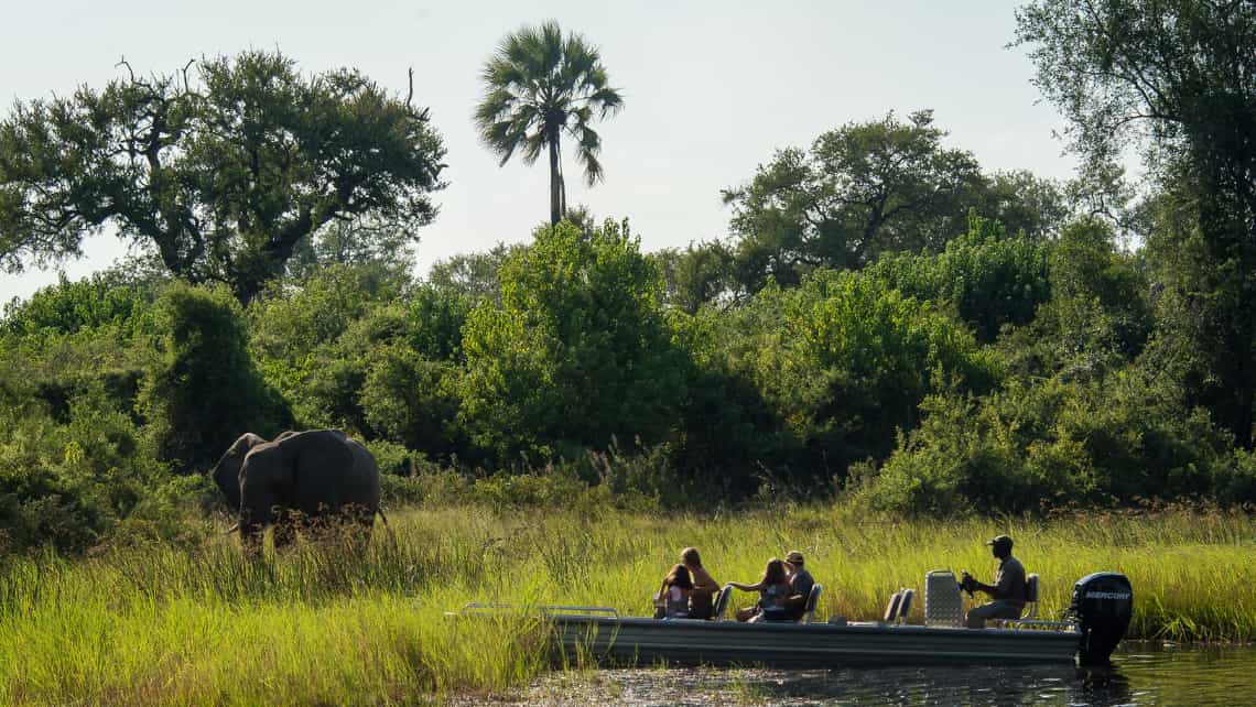 Wilderness Seba Camp, Okavango Delta Botswana