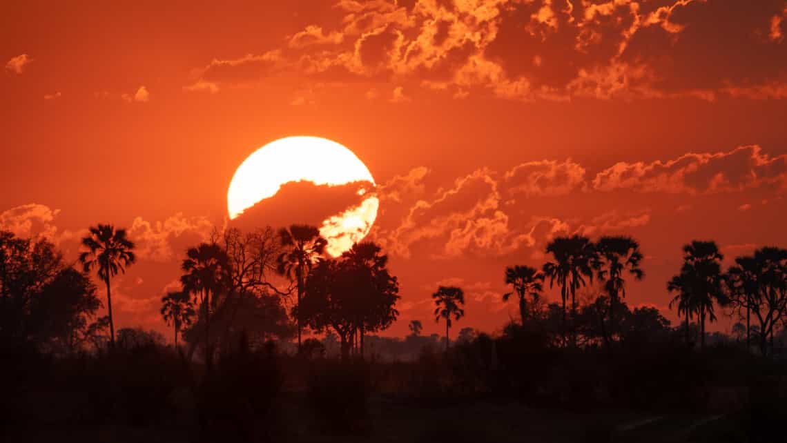 Wilderness Seba Camp, Okavango Delta Botswana