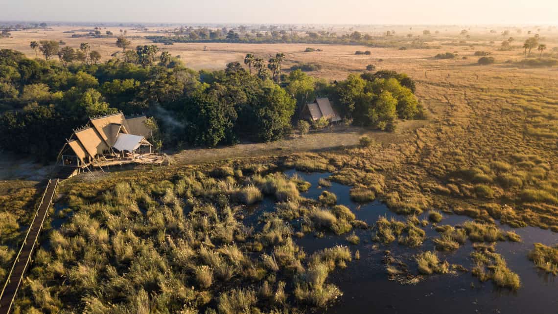 Elefant vor den Zelt Zarafa Camp, Linyanti