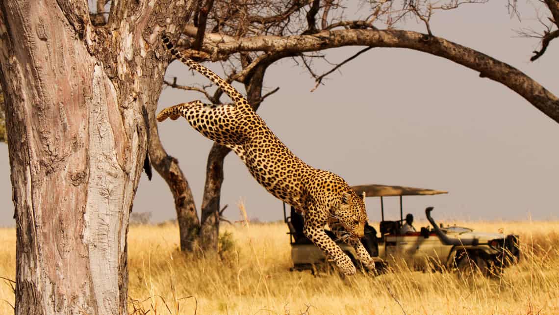 Shinde Camp, Okavango Delta, Botswana