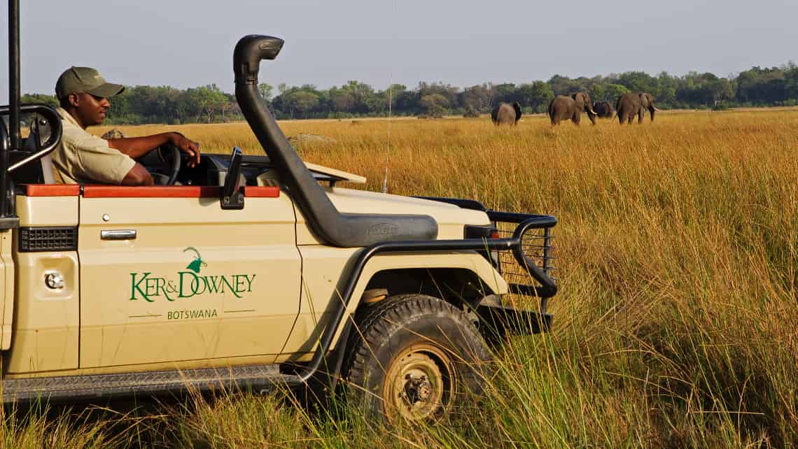 Shinde Camp, Okavango Delta, Botswana