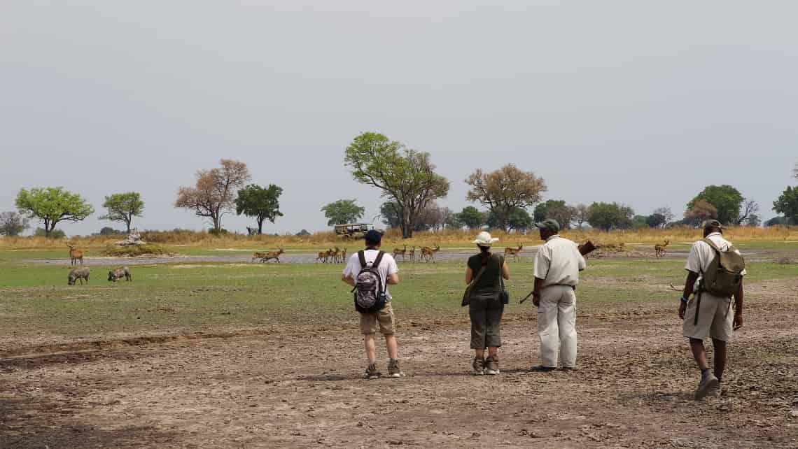 Shinde Camp, Okavango Delta, Botswana