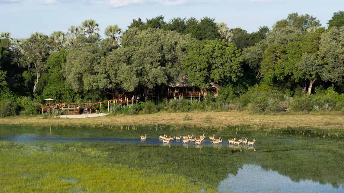  Tubu Tree Camp, Okavango Delta Botswana