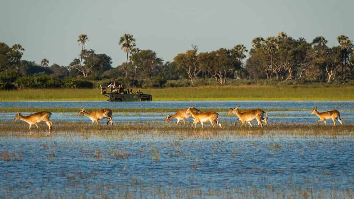  Tubu Tree Camp, Okavango Delta Botswana