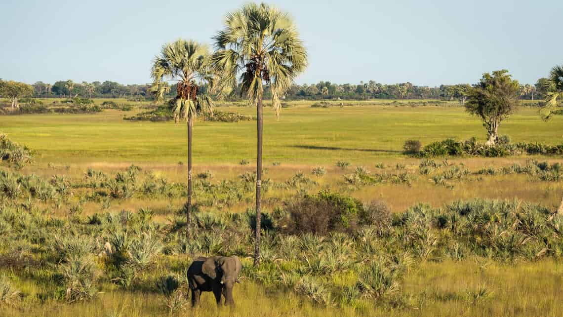  Tubu Tree Camp, Okavango Delta Botswana