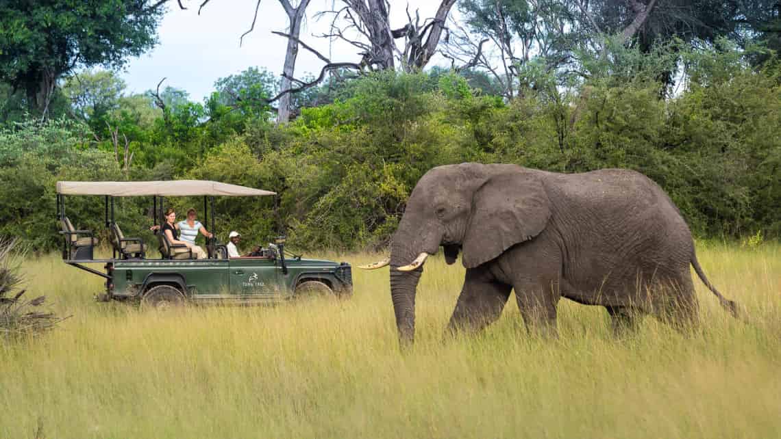  Tubu Tree Camp, Okavango Delta Botswana