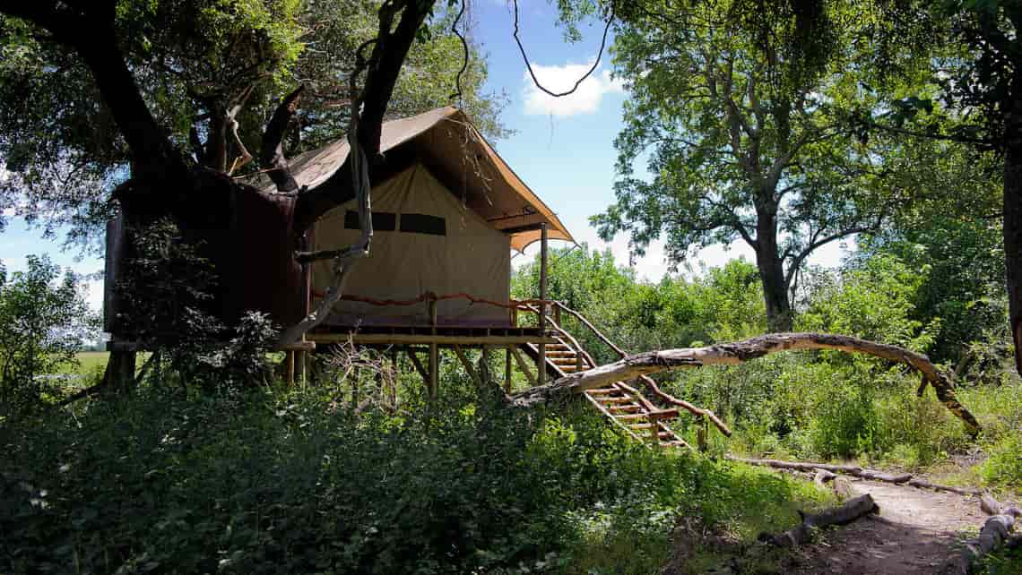  Tubu Tree Camp, Okavango Delta Botswana