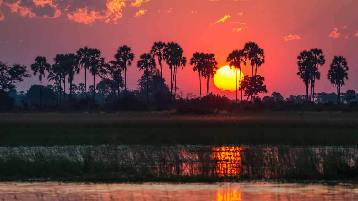  Tubu Tree Camp, Okavango Delta Botswana