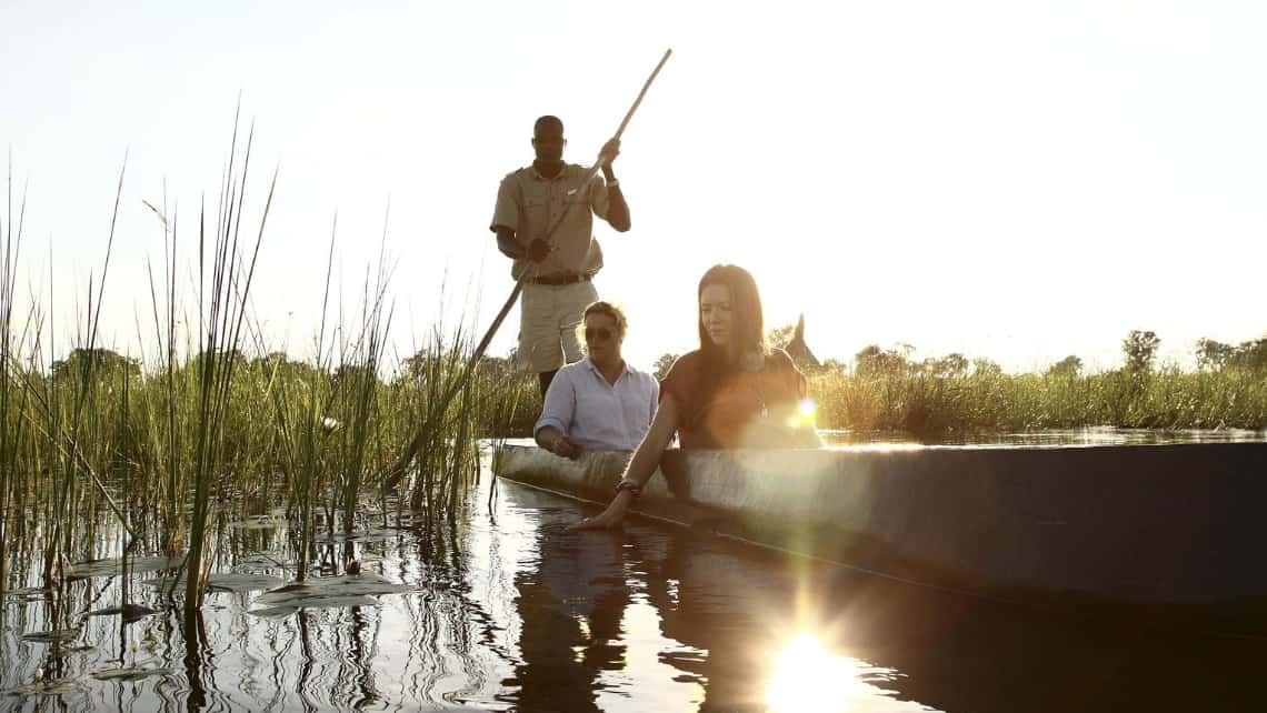 Nilpferd, Hippo Zarafa Camp, Linyanti Selinde REserve