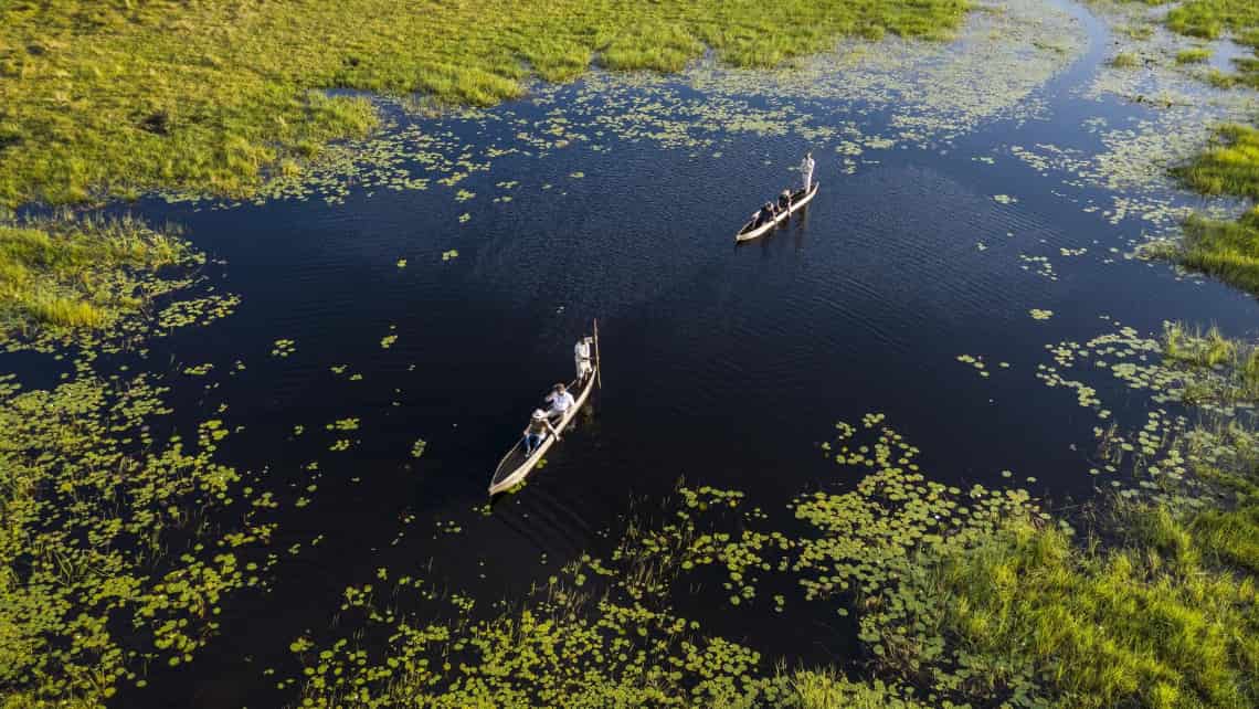 Elefanten Angriff im Selinda Reserve Zarafa Camp, Linyanti