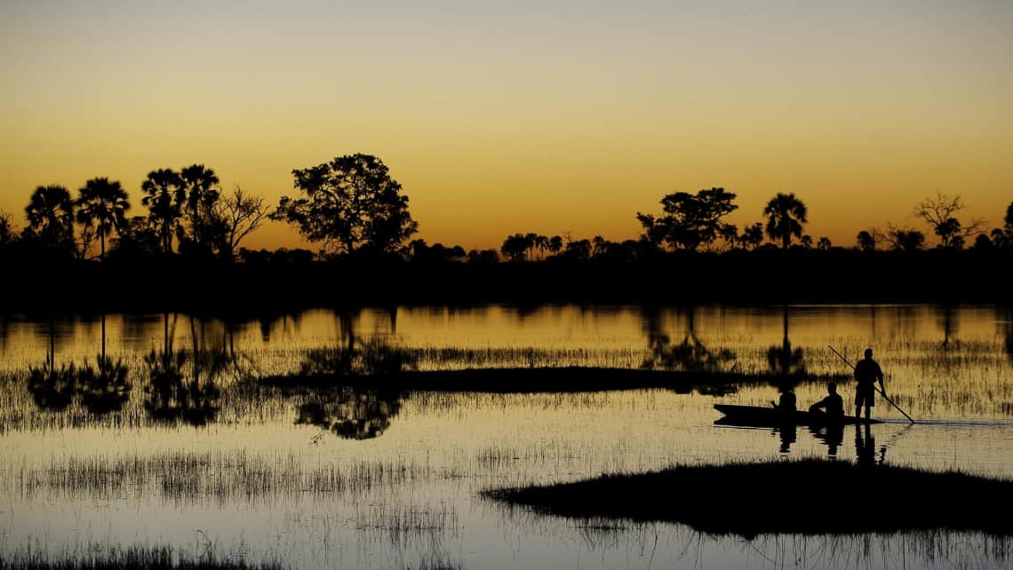 Wild Dogs, Wildhunde im Selinda Reserve Zarafa Camp, Linyanti