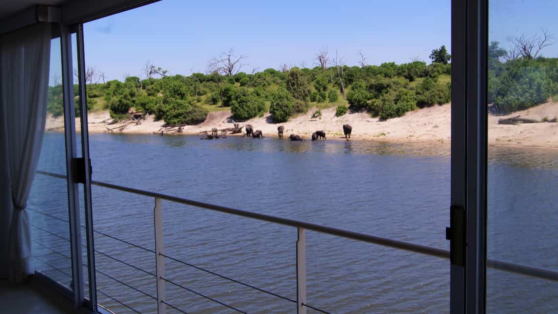 Elefant vor dem Zelt Zarafa Camp, Linyanti