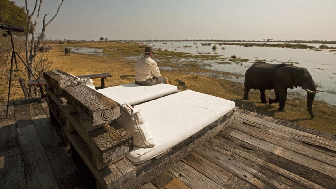 Elefant vor dem Aussichtsdeck Zarafa Camp, Linyanti