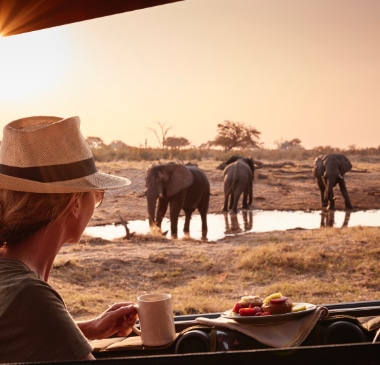 Savute Elephant Lodge, Elefanten am Wasserloch