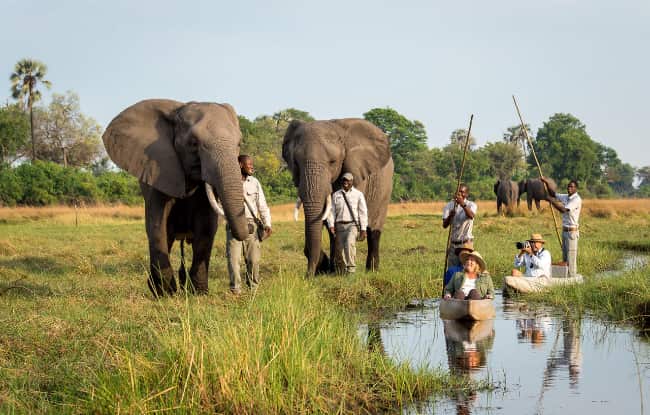 Elefanten und Mokoros im Okavango Delta in der Nähe des Abu Camps in Botswana