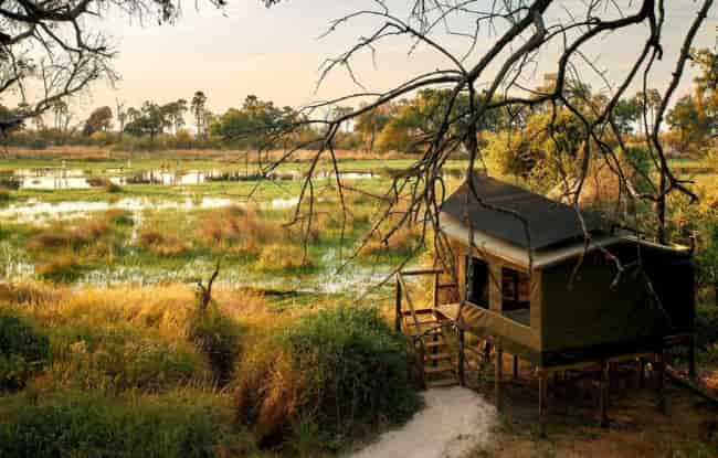 Safarizelt Oddballs Camp  Okavango Delta SafariZelt Botswana