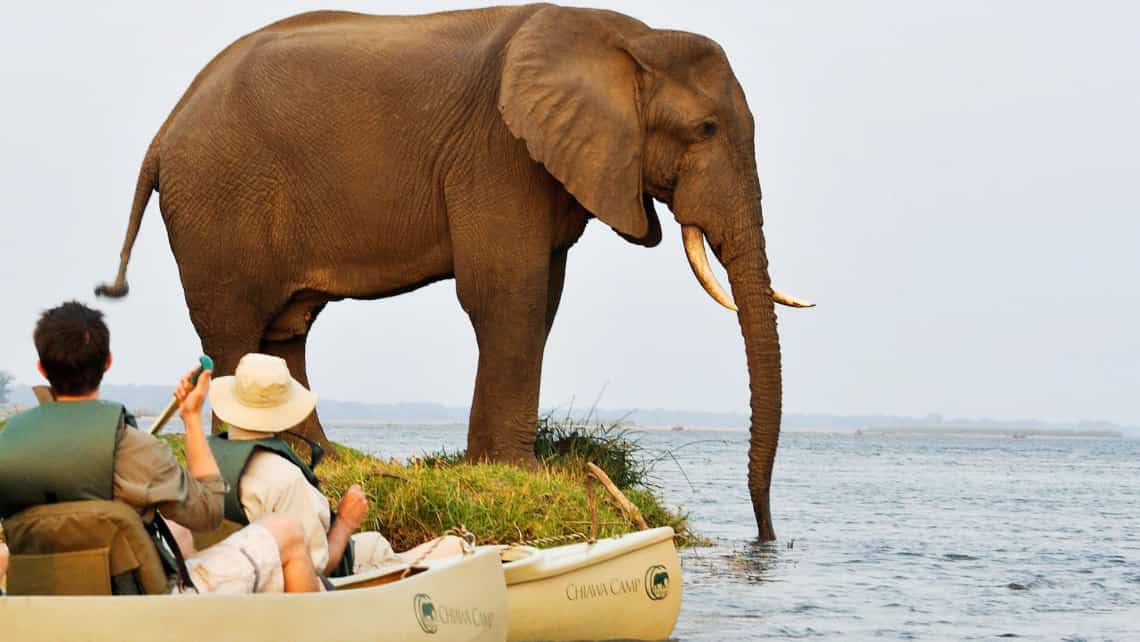 Chiawa Camp, Lower Zambezi Sambia