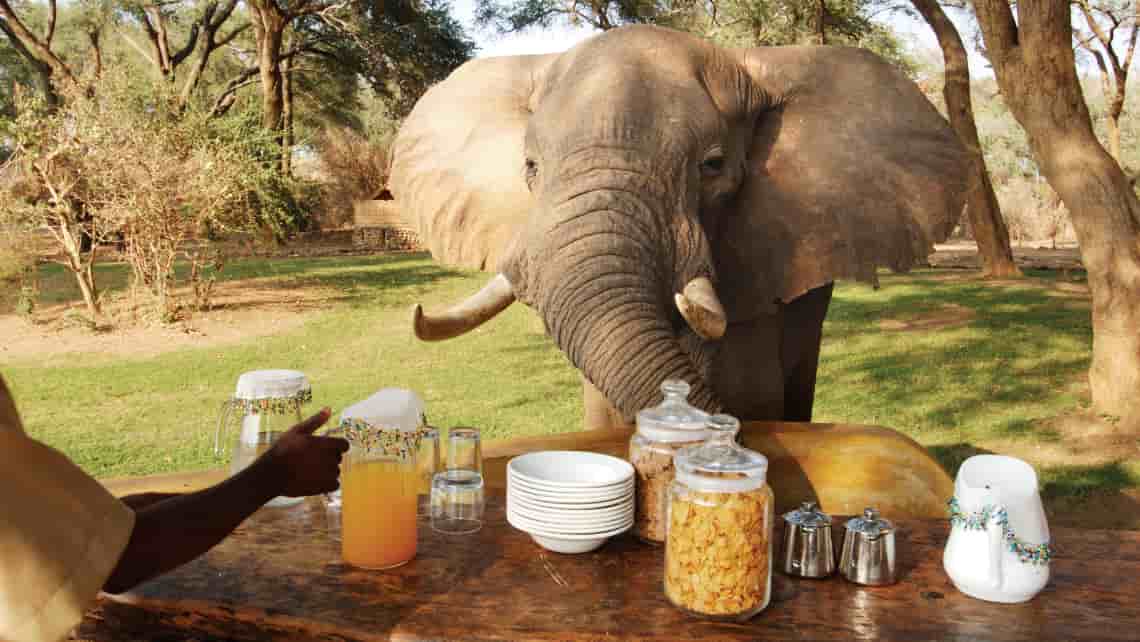 Chongwe River Camp, Lower Zambezi Sambia